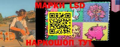 гидра Можга