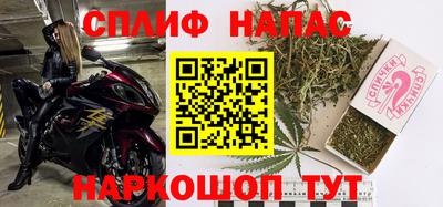 гидра Можга