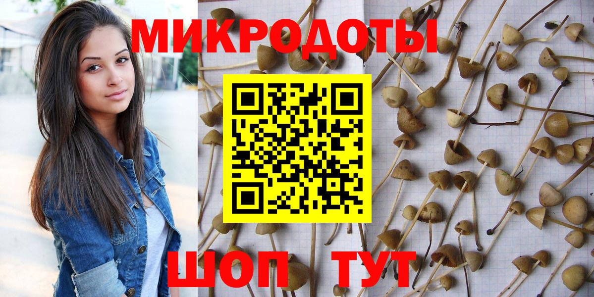 Галлюциногенные грибы прущие грибы  Галлюциногенные грибы мицелий  Вход с VPN  Иркутск 