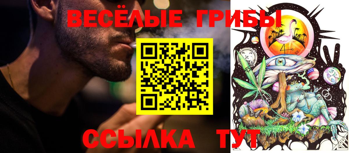 Псилоцибиновые грибы Psilocybe Иркутск